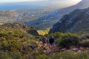 Cape Town: Vandretur på Taffelbjerget med India Venster