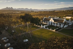 Città del Capo: degustazione di cibi e vini indigeni