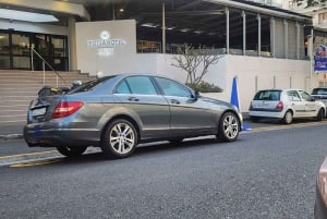 Cape Town lufthavn: (« Privat transport »)