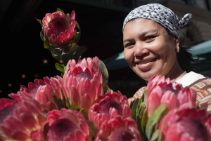 Kapstadt: Einführende Stadtführung zu Fuß und mit dem Minibus
