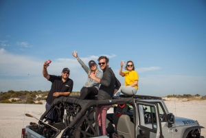 Cape Town: Jeep Dune Adventure Tour, Sandboarding & Transfer
