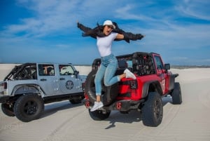 Kaapstad: Jeep Dune Adventure Tour met sandboarden