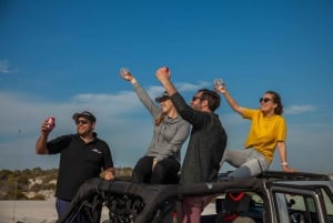 Kapsztad: Jeep Dune Adventure Tour z sandboardingiem