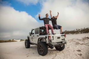 Kapsztad: Jeep Dune Adventure Tour z sandboardingiem