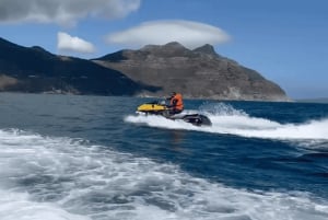 Kaapstad: jetski - 1 uur