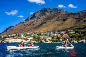 Cape Town Kayaking with Penguins Experience - Boulders Beach