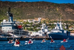 Cape Town Kayaking with Penguins Experience - Boulders Beach
