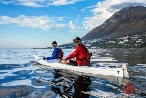 Cape Town Kayaking with Penguins Experience - Boulders Beach