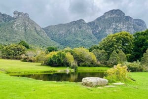 Cape Town: Kirstenbosch Botanical Garden Entry Ticket
