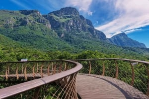 Cape Town: Kirstenbosch Botanical Garden Entry Ticket