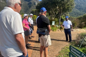 Кейптаун: сады Кирстенбош и экскурсия по городу с обедом