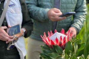 Кейптаун: сады Кирстенбош и экскурсия по городу с обедом