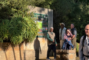 Кейптаун: сады Кирстенбош и экскурсия по городу с обедом