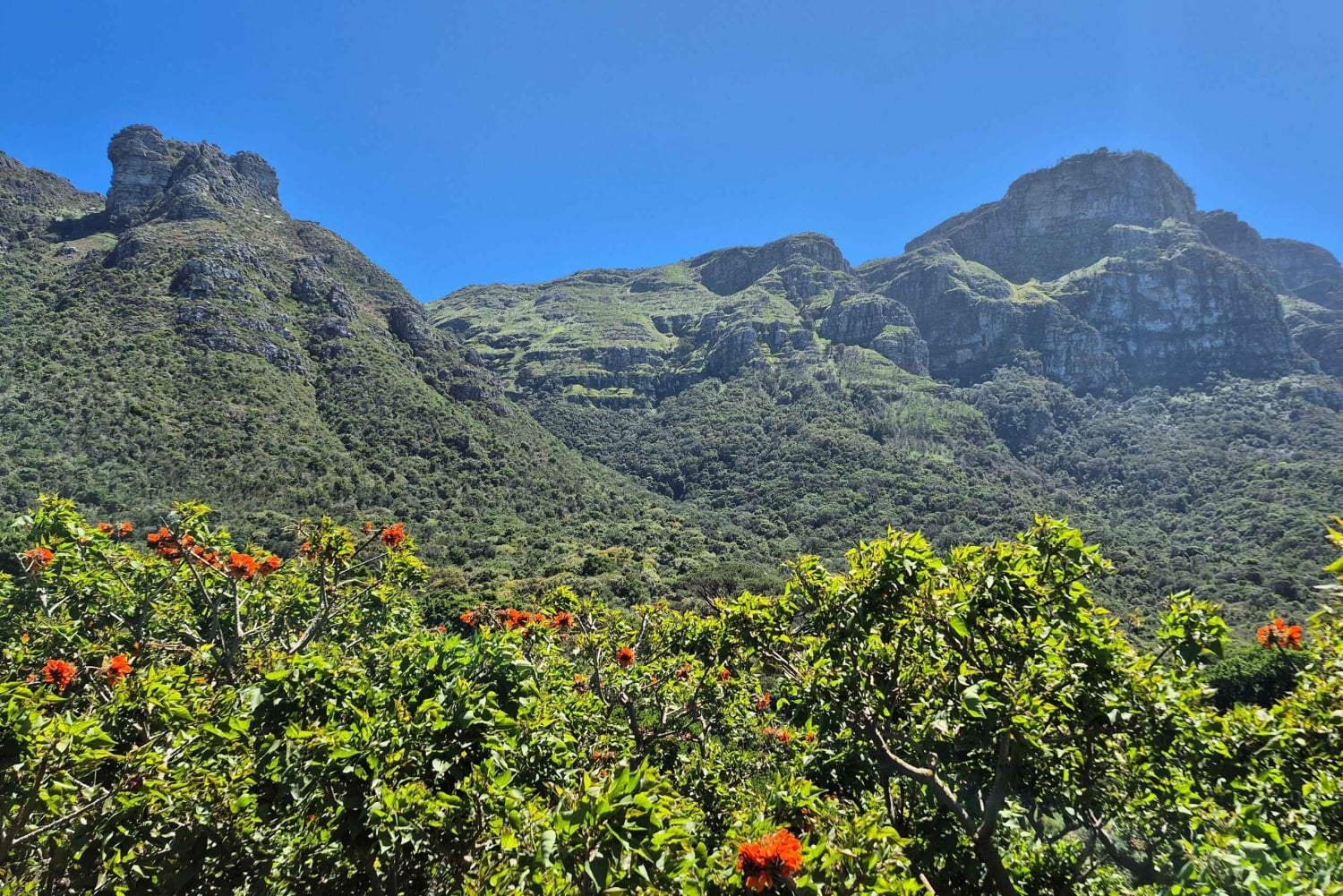 Kapstaden: Kirstenbosch till Constantia – promenad och vinprovning