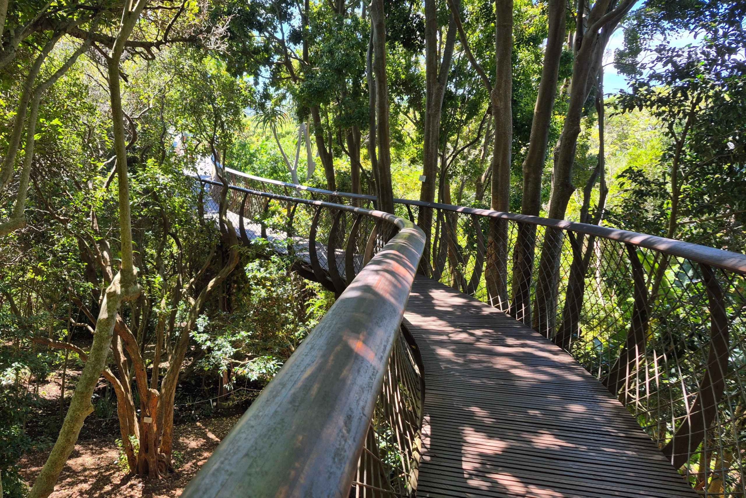 Kapstaden: Kirstenbosch till Constantia – promenad och vinprovning