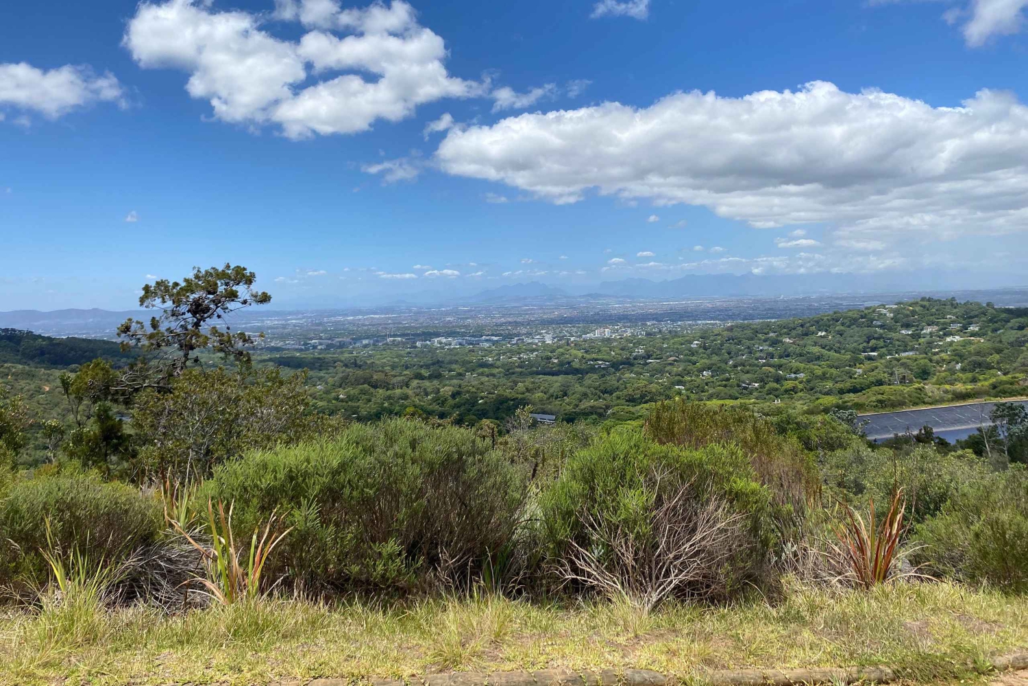 Kapstaden: Kirstenbosch till Constantia – promenad och vinprovning