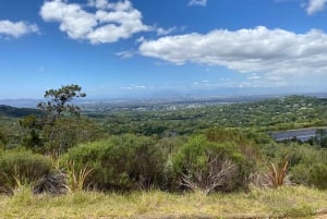 Kapsztad: spacer z Kirstenbosch do Constantii i degustacja win