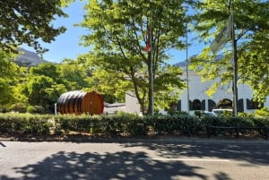 Kapstaden: Kirstenbosch till Constantia – promenad och vinprovning