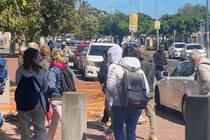 Cape Town: Langa Township halvdagstur