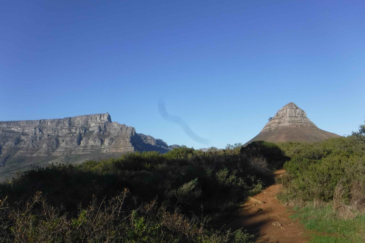 Cape Town: Lion's Head and Signal Hill Morning Trail Run