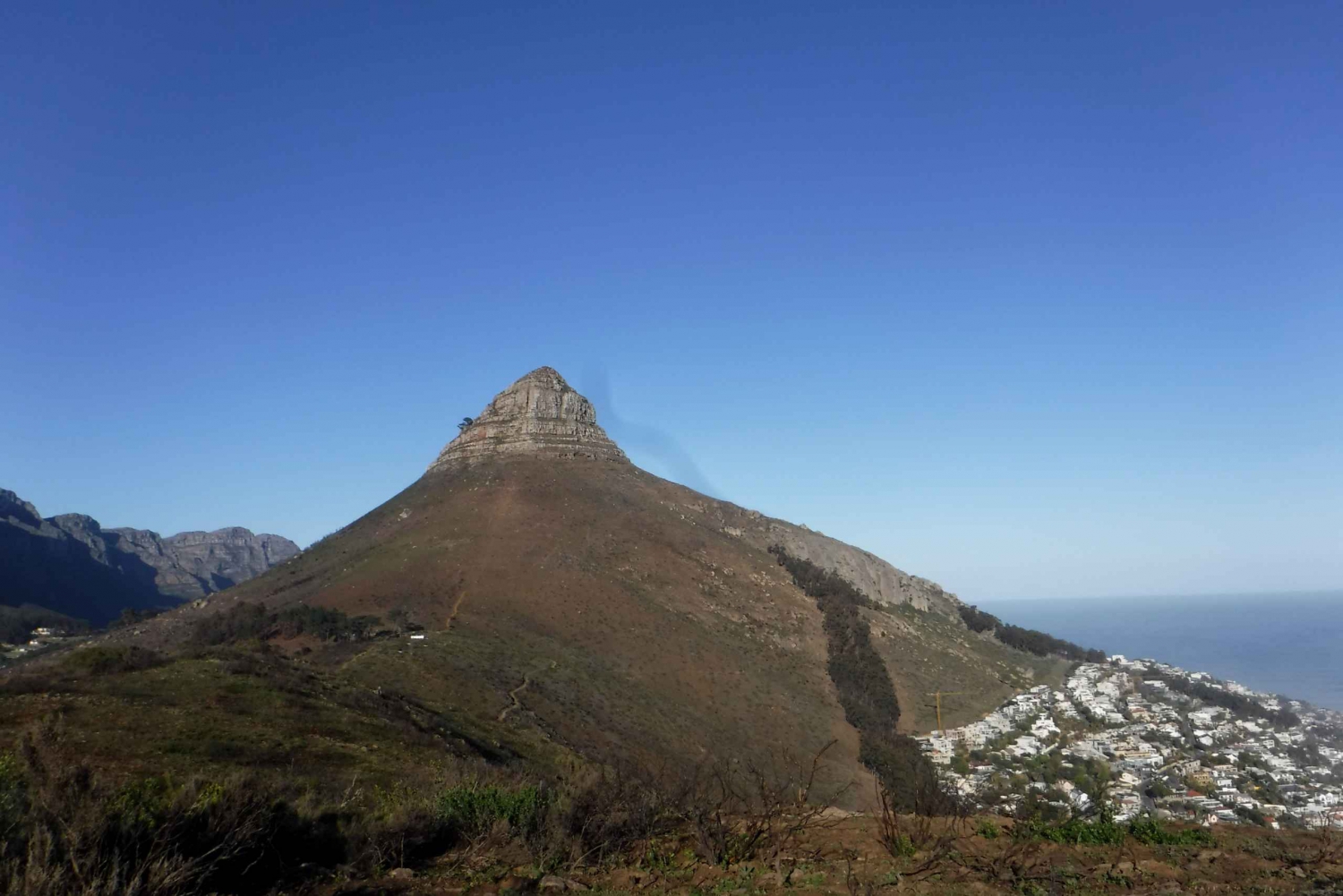 Cape Town: Lion's Head and Signal Hill Morning Trail Run