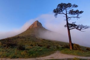Kapstaden: Lion's Head och Signal Hill Morning Trail Run