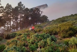 Cape Town: Trail Run Lion's Head og Signal Hill morgen