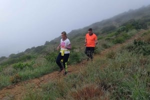 Cape Town: Løpetur på Lion's Head og Signal Hill Morning Trail Run