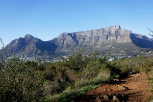 Cape Town: Lion's Head and Signal Hill Morning Trail Run