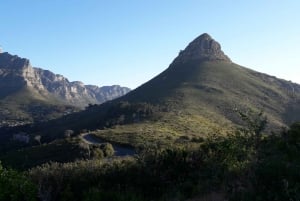 Cape Town: Lion's Head and Signal Hill Morning Trail Run