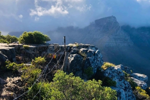 Cidade do Cabo: Caminhada na Lion's Head ao nascer e ao pôr do sol (MGG)