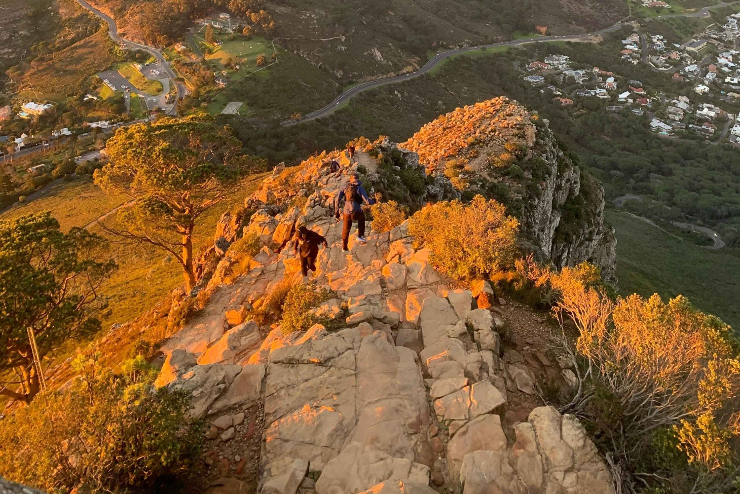 كيب تاون: رحلة مشي بصحبة مرشد إلى رأس الأسد لمشاهدة شروق الشمس وغروبها