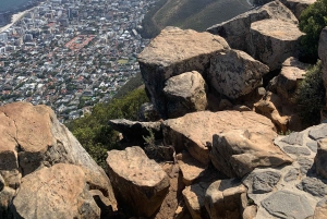 كيب تاون: رحلة مشي بصحبة مرشد إلى رأس الأسد لمشاهدة شروق الشمس وغروبها