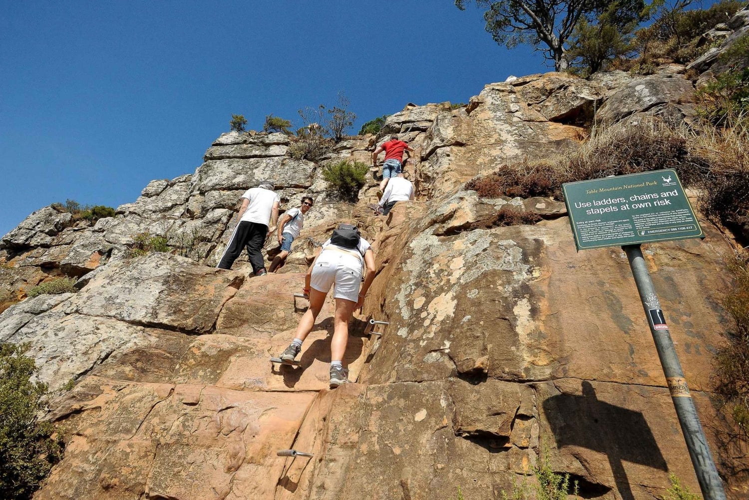 Kapkaupunki: Lions Head Hike & Picnic
