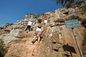 Kapkaupunki: Lions Head Hike & Picnic