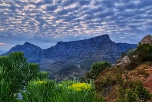 Kapkaupunki: Lions Head Hike & Picnic