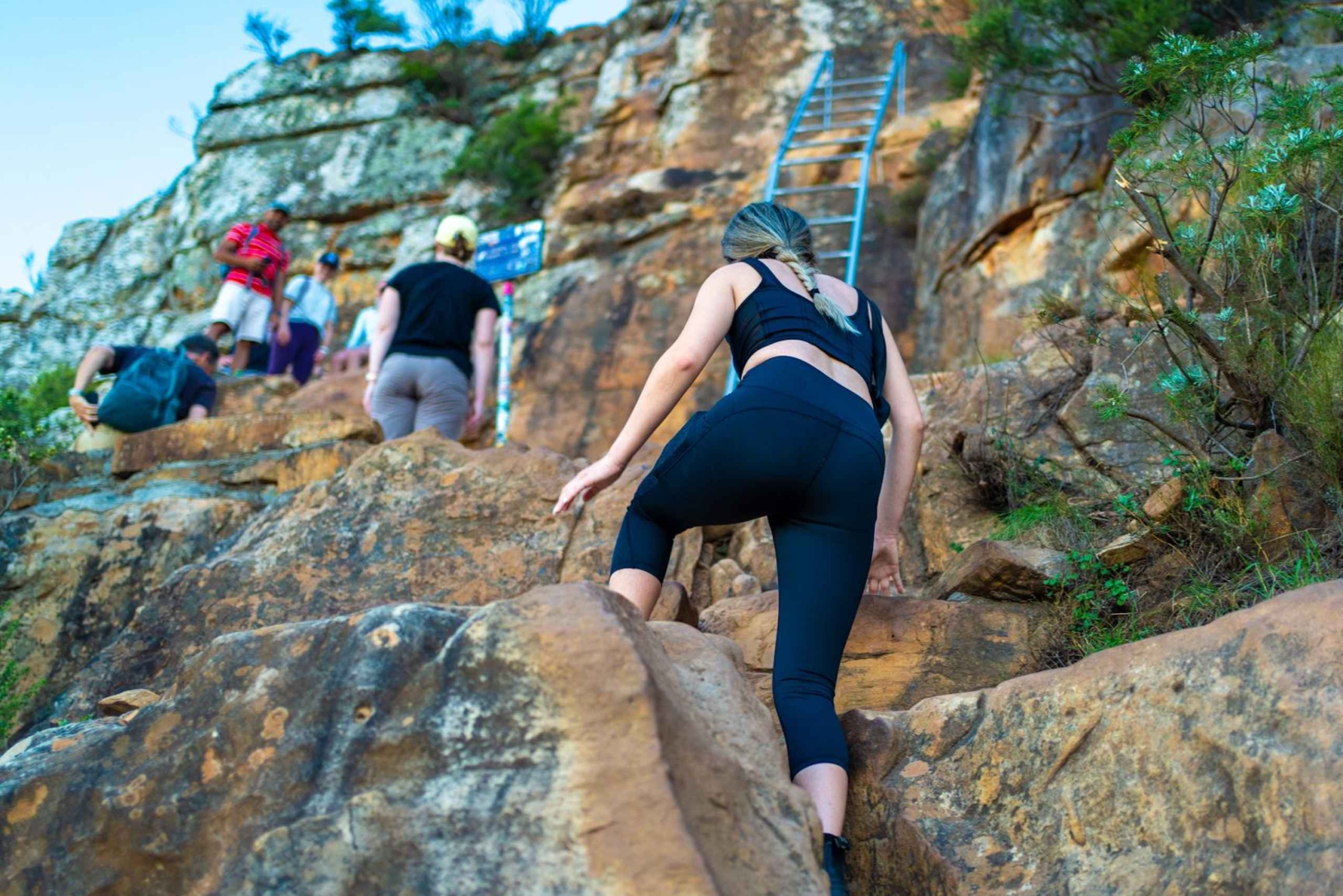 Le Cap : randonnée à Lion's Head avec un créateur de contenu
