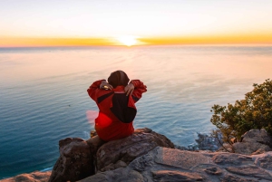 Le Cap : randonnée à Lion's Head avec un créateur de contenu