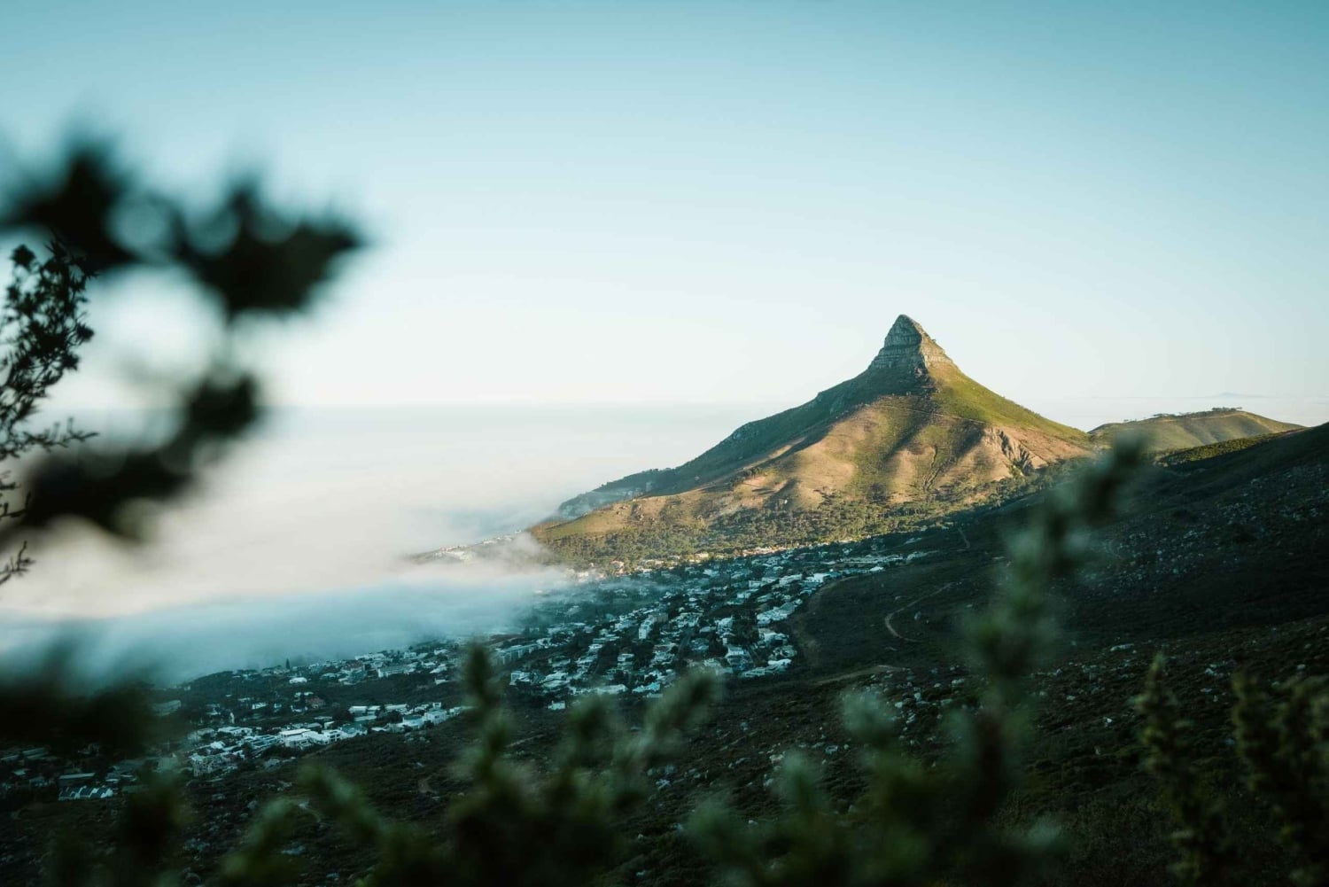 Cape Town: Lion's Head Hiking Experience