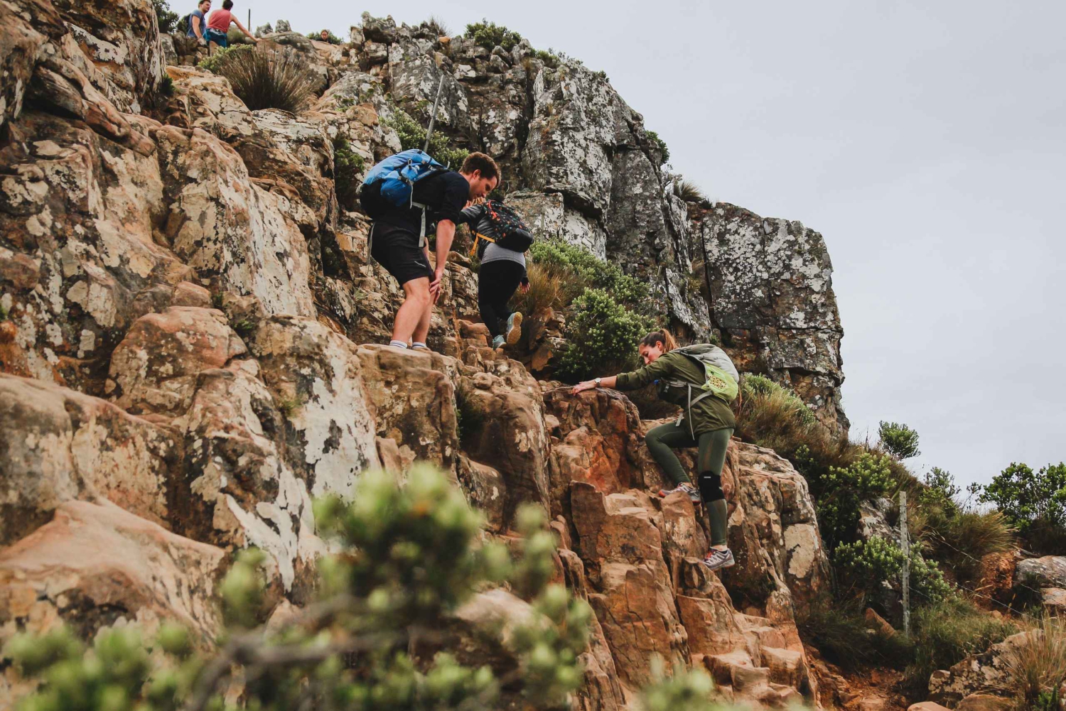 Cape Town: Lion's Head Hiking Experience