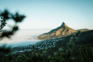 Cape Town: Lion's Head Hiking Experience