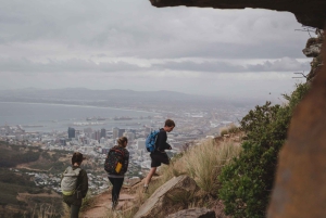 Cape Town: Lion's Head Hiking Experience