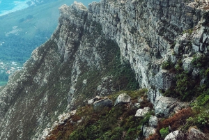 Cape Town: Lion's Head or Table Mountain Guided Hike