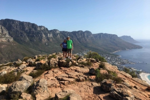 Kapkaupunki: Lion's Head Summit -vaellus – yksityinen