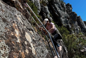 Kapkaupunki: Lion's Head Summit -vaellus – yksityinen