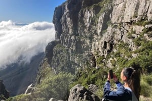 Cape Town: Lion's Head Summit Hike - Private