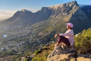 Cape Town: Fottur til Lion's Head i soloppgang