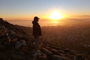 Cape Town: Fottur til Lion's Head i soloppgang