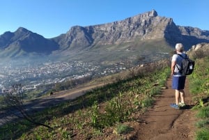 Кейптаун: поход на рассвете в Львиную Голову