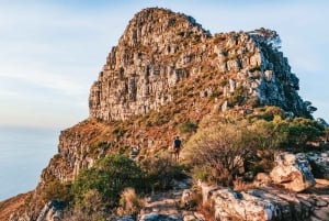 Kaapstad: Lion's Head Zonsopgang of Zonsondergang wandeling